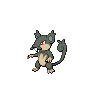 Alolan Rattata front sprites