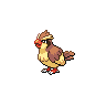 Pidgey front sprites