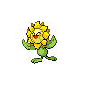 Sunflora front sprites