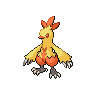 Combusken front sprites