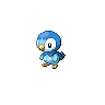 Piplup front sprites