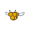 Combee front sprites
