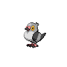 Pidove front sprites