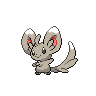 Minccino front sprites