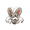 Cinccino front sprites