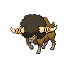 Bouffalant front sprites