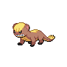 Yungoos front sprites