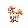 Ponyta front sprites