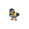 Wattrel front sprites