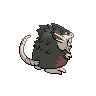 Alolan Raticate back sprites
