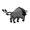 Paldean Tauros (Combat Breed) back sprites
