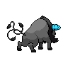 Paldean Tauros (Aqua Breed) back sprites
