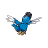 Blue Plumage Squawkabilly back sprites
