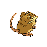 Raticate back sprites