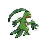 Grovyle back sprites