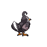 Staravia back sprites