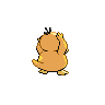 Psyduck back sprites