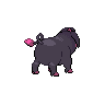 Male Oinkologne back sprites