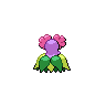 Bellossom back shiny sprites