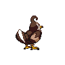 Staravia back shiny sprites