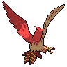 Talonflame back shiny sprites