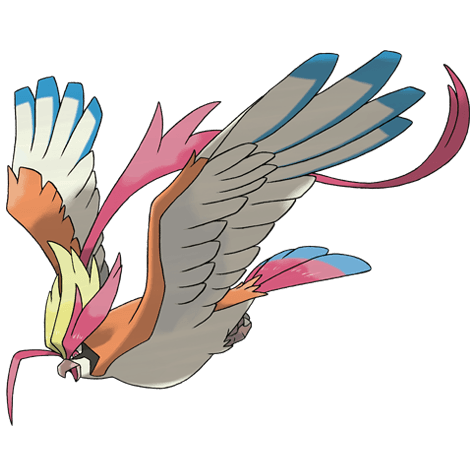 Mega Pidgeot official artwork
