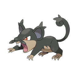 Alolan Rattata artwork
