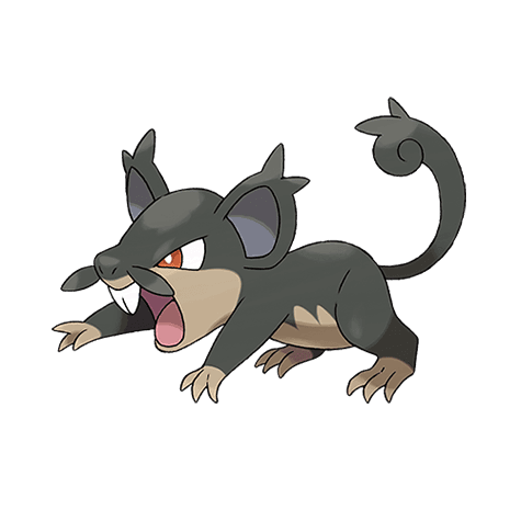 Alolan Rattata official artwork