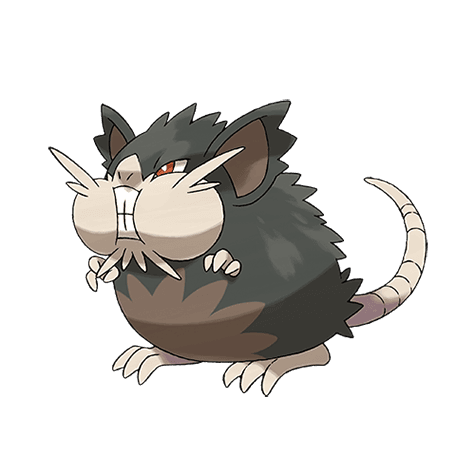 Alolan Raticate official artwork