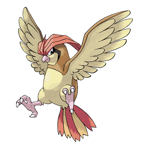 Pidgeotto official artwork