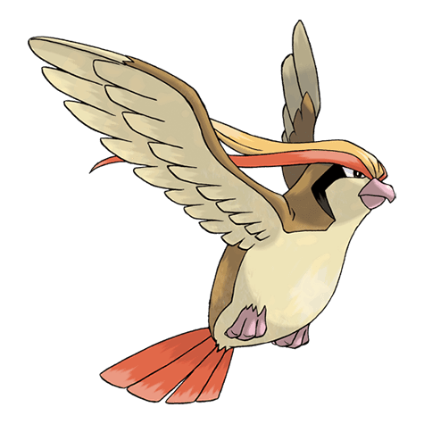 Pidgeot official artwork