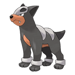 Houndour artwork