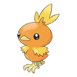 Torchic artwork