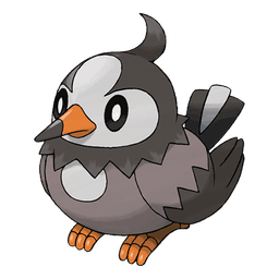 Starly artwork