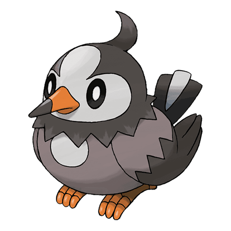 Starly official artwork