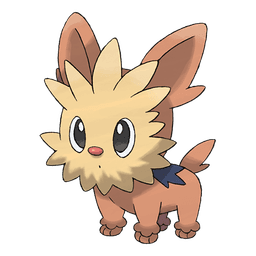 Lillipup artwork