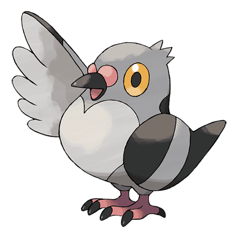 Pidove official artwork
