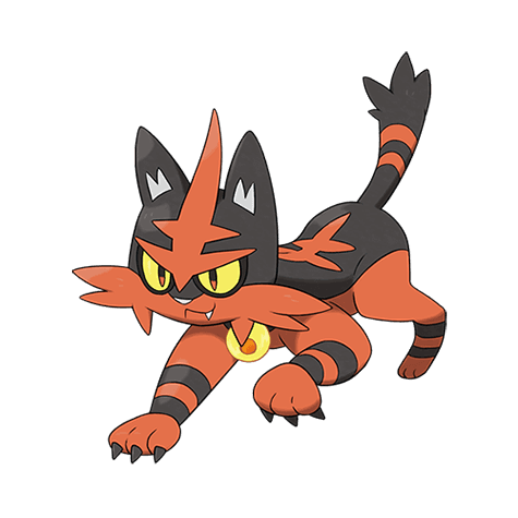 Torracat official artwork