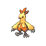 Combusken front shiny sprites