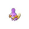 Mudkip front shiny sprites
