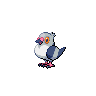 Pidove front shiny sprites