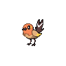 Fletchling front shiny sprites