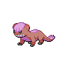 Yungoos front shiny sprites
