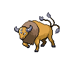 Tauros front sprites