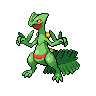 Sceptile front sprites