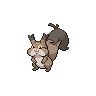 Skwovet front sprites