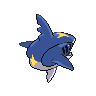 Sharpedo back sprites