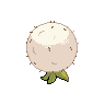 Eldegoss back sprites