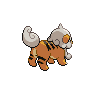 Hisuian Growlithe back shiny sprites