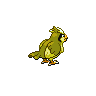 Pidgey back shiny sprites